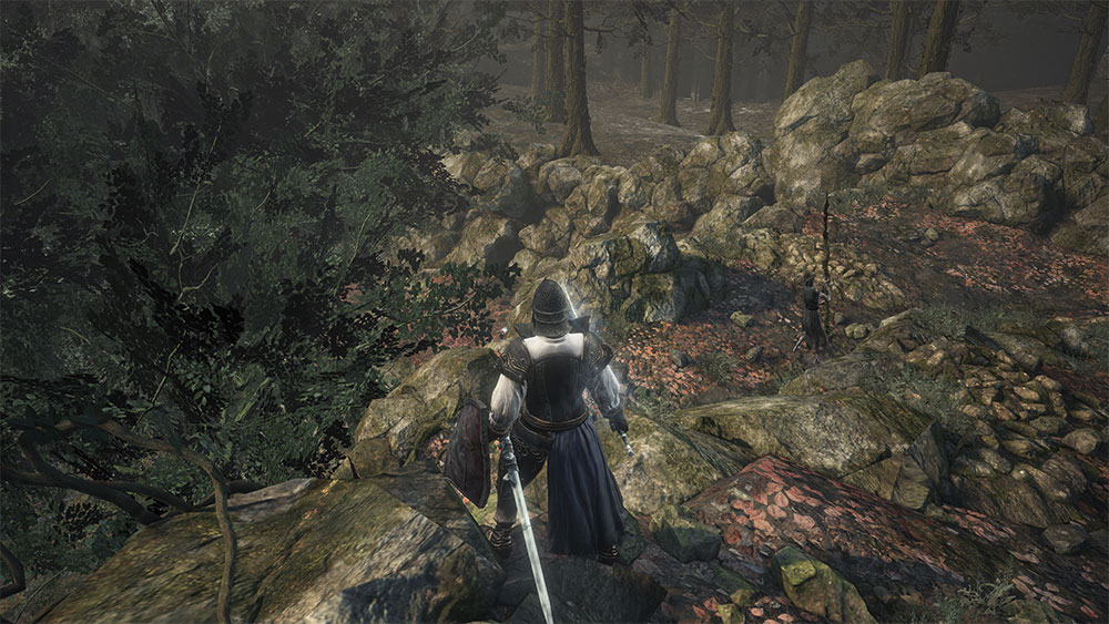 A warrior with a glowing sword looks out over a rocky hill edge into a forest